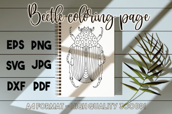 Beetle Insect Coloring Page Mandala Graphics